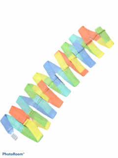 Stuha Sasaki ICBU x PLG